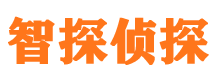 大冶市私家侦探公司